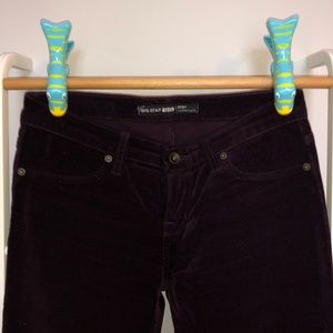 Big Star 1974 Burgundy Velvet Emma Low Legging 27